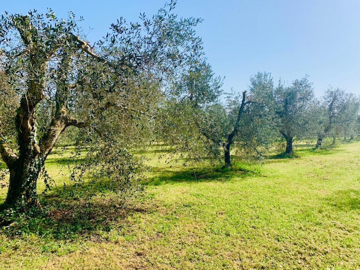 Il Borghetto Di Ansedonia Apartment Bagian luar foto
