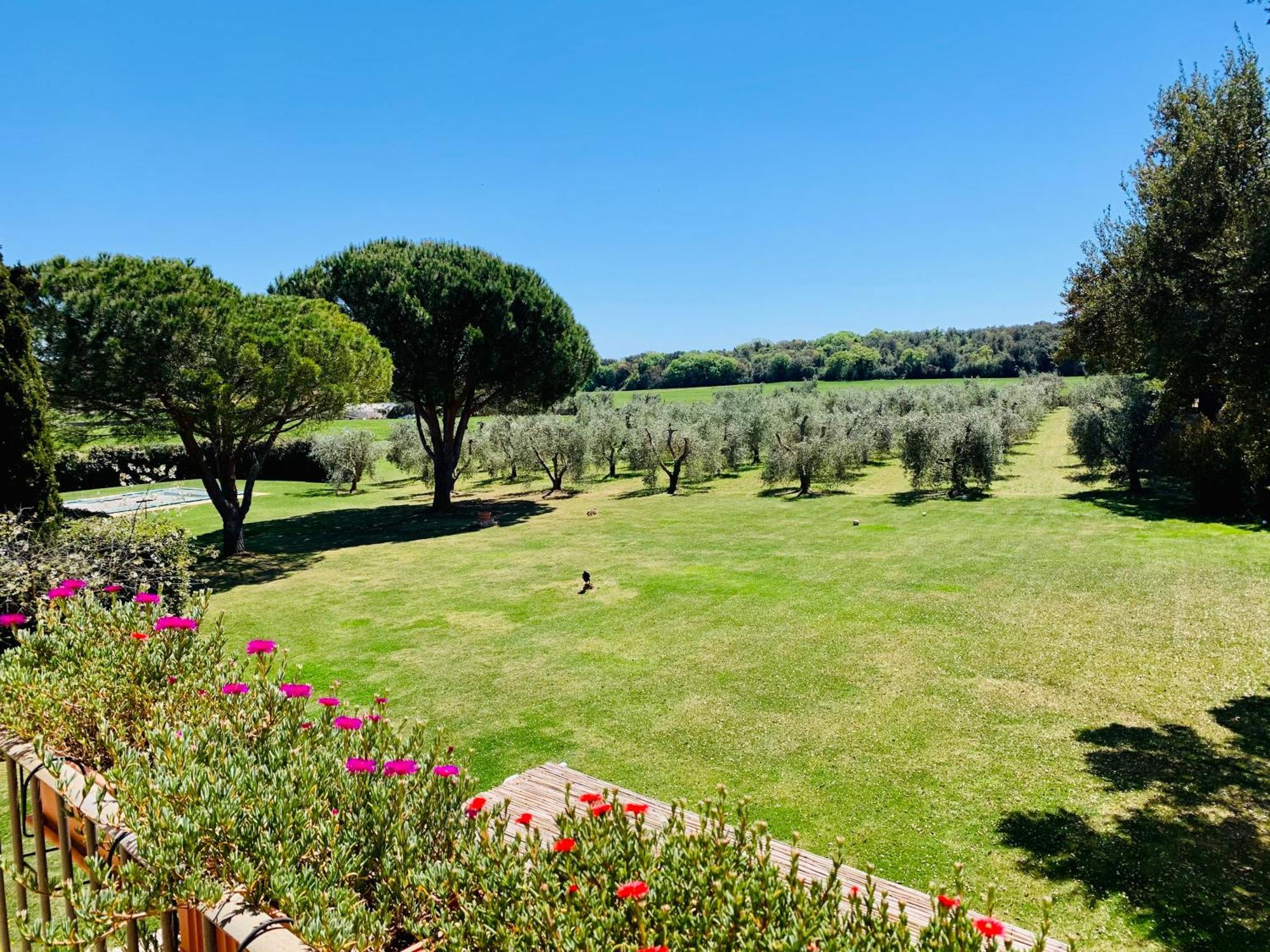 Il Borghetto Di Ansedonia Apartment Bagian luar foto