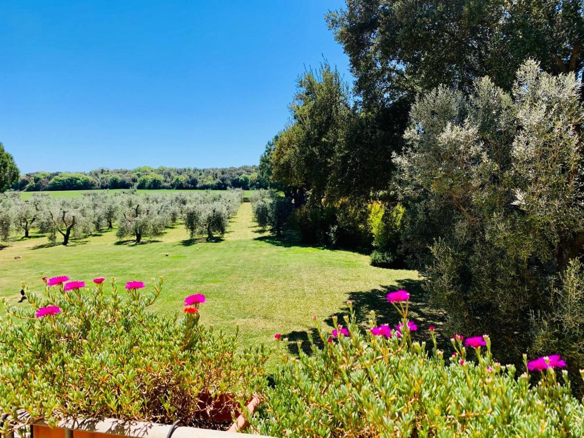 Il Borghetto Di Ansedonia Apartment Bagian luar foto