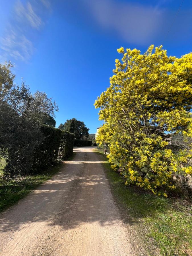 Il Borghetto Di Ansedonia Apartment Bagian luar foto