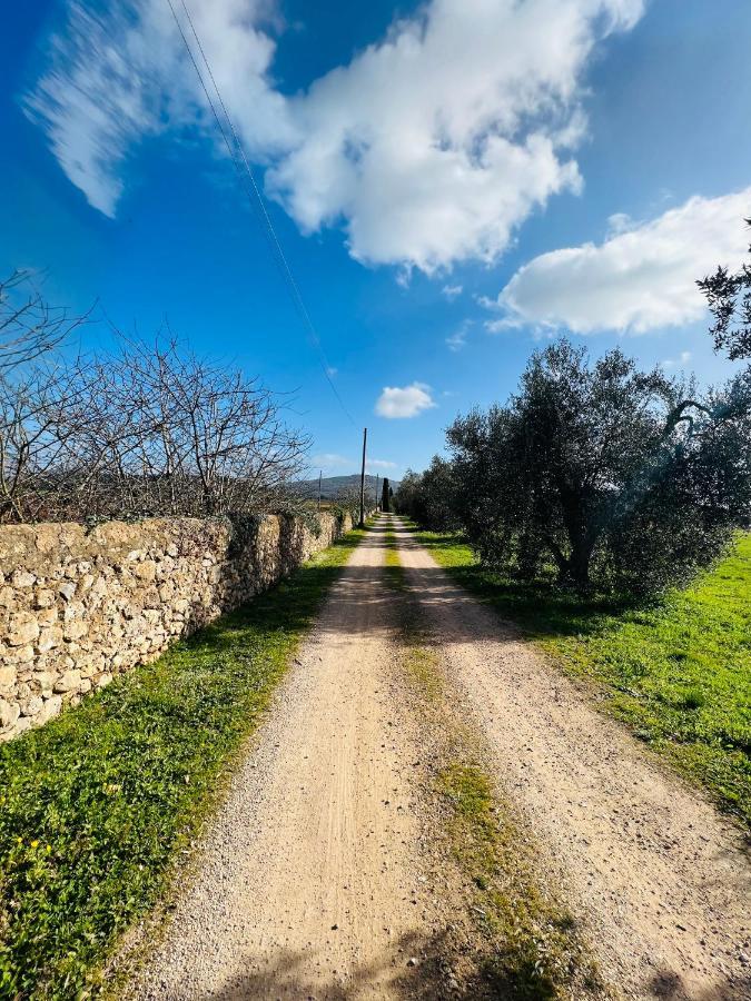 Il Borghetto Di Ansedonia Apartment Bagian luar foto