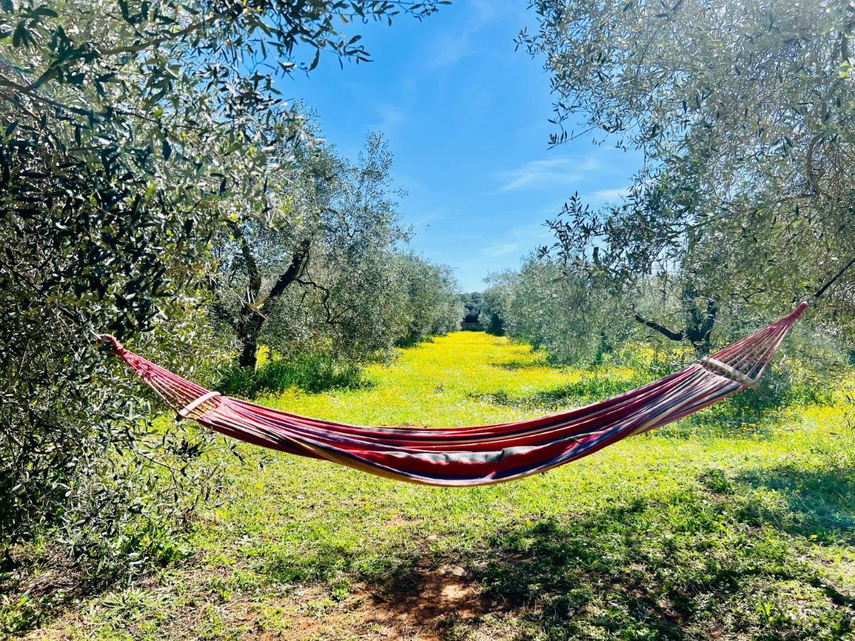 Il Borghetto Di Ansedonia Apartment Bagian luar foto